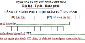 Các khoản giảm trừ gia cảnh - ảnh chính