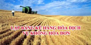 Hồ sơ, thủ tục mua hàng hóa, dịch vụ không có hóa đơn - ảnh chính
