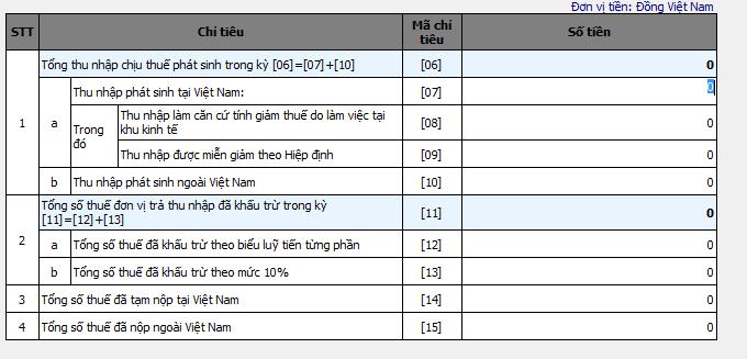 Hướng dẫn cá nhân lập tờ khai quyết toán thuế TNCN với cá nhân có thu nhập từ tiền lương, tiền công - ảnh 2
