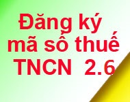 Thủ tục đăng ký mã số thuế TNCN - ảnh chính