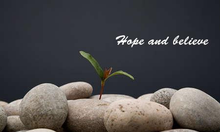 Bí quyêt tìm việc trong thời gian ngắn 4