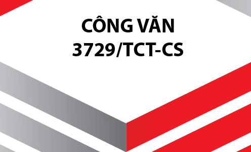 cong van 3729-03
