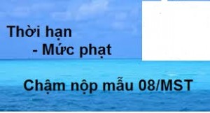 Muc phat cham nop Mau 08/MST - anh chinh