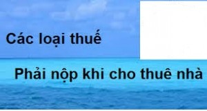 Quy dinh ve doanh thu tinh thue cho thue nha tra truoc nhieu ky - anh chinh