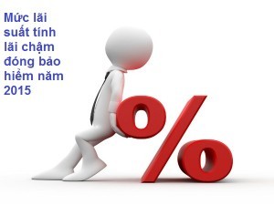 Tinh lai cham dong BHXH, BHYT, BHTN nam 2015 - anh chinh