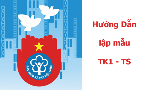 Hướng dẫn lập mẫu TK1 - TS theo Quyết định 959/QĐ-BHXH