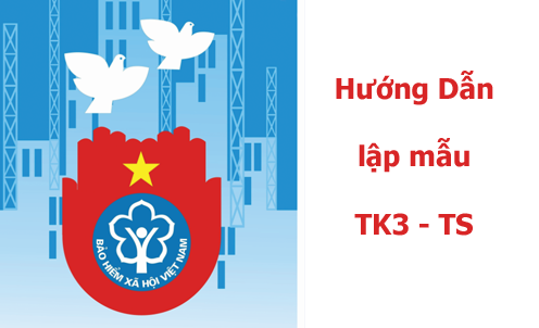 Hướng dẫn lập mẫu TK3 - TS theo Quyết định 959/QĐ-BHXH