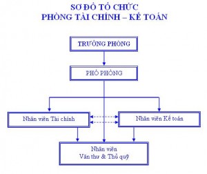 Quy định về tổ chức bộ máy kế toán và người làm kế toán theo Luật kế toán 2015