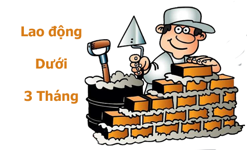 Từ năm 2016 hợp đồng lao động dưới 3 tháng có phải tham gia bảo hiểm không?