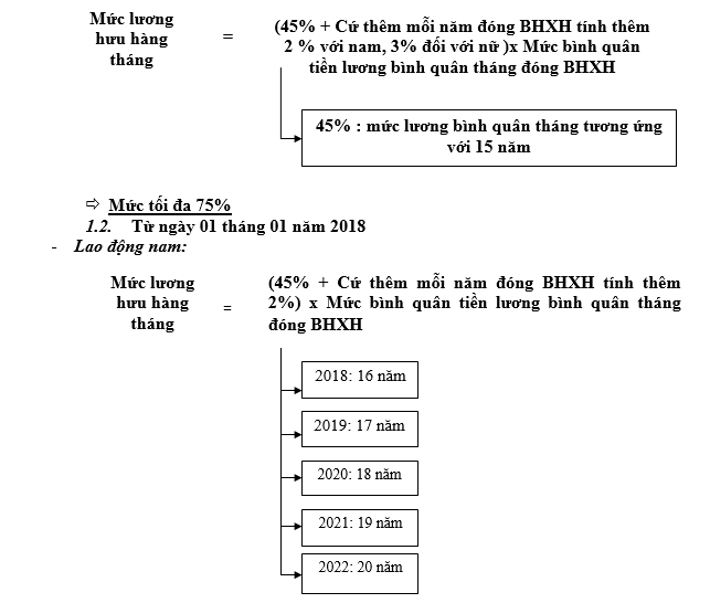 Muc huong luong huu hang thang cua che do bao hiem xa hoi huu tri - anh 1