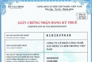 Cấu trúc mã số thuế