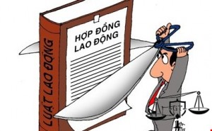 Hợp đồng lao động