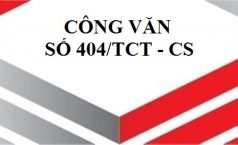 Công văn số 404/TCT – CS thuế GTGT đối với dịch vụ phần mềm.