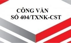 Công văn số 404/TXNK-CST về sản phẩm xuất khẩu được sản xuất toàn bộ từ nguyên liệu nhập khẩu.