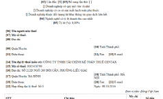 Hướng dẫn lập tờ khai quyết toán thuế thu nhập doanh nghiệp mẫu 03/TNDN (Phần 2)