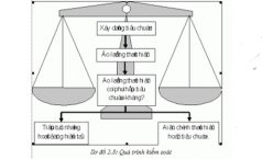 Chuyển giá – Nguyên tắc điều chỉnh khác biệt trọng yếu về chức năng hoạt động của các doanh nghiệp