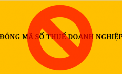 Các nguyên tắc chấm dứt hiệu lực mã số thuế
