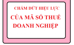 Hồ sơ chấm dứt hiệu lực mã số thuế
