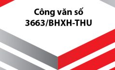 Công văn số 3663/BHXH-THU Về việc hướng dẫn nghiệp vụ liên quan đến gộp sổ BHXH của người lao động có nhiều sổ