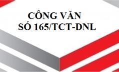 Công văn số 165/TCT-DNL V/v: lập hóa đơn GTGT.