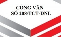 Công văn số 208/TCT-DNL  V/v: thuế GTGT đối với khoản hỗ trợ cước vận chuyển.