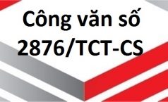 Công văn số 2876/TCT-CS V/v kê khai bổ sung sai sót sau kiểm tra thuế.