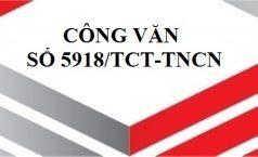 Công văn số 5918/TCT-TNCN về chính sách thuế Thu nhập cá nhân