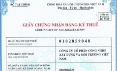 Quy định về cấp mã số thuế