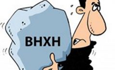 Hạch toán bảo hiểm cho giám đốc công ty TNHH