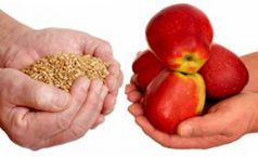 Sơ đồ kế toán doanh thu hàng đổi hàng không tương tự theo Thông tư 133.