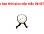 Gia hạn nộp mẫu 06/GTGT tới 30/01/2016