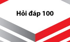 Hỏi Đáp 100