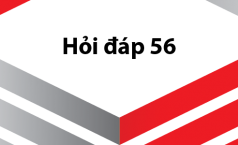 Hỏi Đáp 56