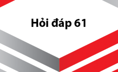 Hỏi Đáp 61