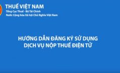 Video hướng dẫn đăng ký sử dụng dịch vụ nộp thuế điện tử