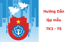 Hướng dẫn lập mẫu TK3 – TS theo Quyết định 959/QĐ-BHXH