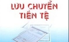 Báo cáo lưu chuyển tiền tệ mẫu B03 – DNN theo Thông tư 133 phương pháp gián tiếp.
