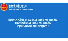 Video hướng dẫn lấy lại mật khẩu tài khoản, thay đổi mật khẩu tài khoản dịch vụ nộp thuế điện tử