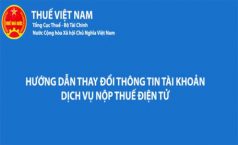 Video hướng dẫn thay đổi thông tin tài khoản dịch vụ nộp thuế điện tử