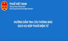 Video hướng dẫn tra cứu thông báo dịch vụ nộp thuế điện tử