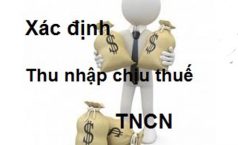 Hướng dẫn cá nhân lập tờ khai quyết toán thuế TNCN với cá nhân có thu nhập từ tiền lương, tiền công
