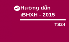 Hướng dẫn tra cứu thông tin bảo hiểm xã hội (BHXH) mới nhất