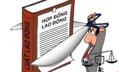 Số lần ký hợp đồng lao động ngắn hạn