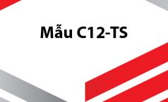 Thông báo kết quả đóng BHXH BHYT của cơ quan BHXH tham gia trước – Mẫu C12-TS