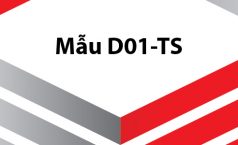 Đơn đề nghị cấp lại sổ BHXH – Mẫu D01-TS