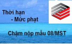 Mức phạt chậm nộp Mẫu 08/MST