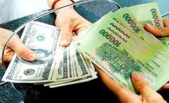 Nguyên tắc lập Báo cáo tài chính khi thay đổi đơn vị tiền tệ trong kế toán theo Thông tư 200/2014/TT-BTC