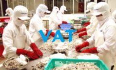 Sản phẩm sơ chế thông thường không kê khai chịu thuế