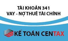 Cách hạch toán vay và nợ thuê tài chính – TK 341