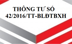 Thông tư số 42/2016/TT-BLĐTBXH quy định mức điều chỉnh tiền lương đã đóng bảo hiểm.